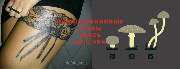 PSILOCYBIN Белоозёрский
