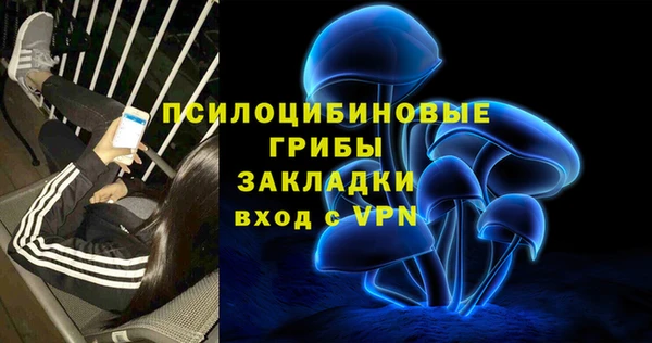 PSILOCYBIN Белоозёрский